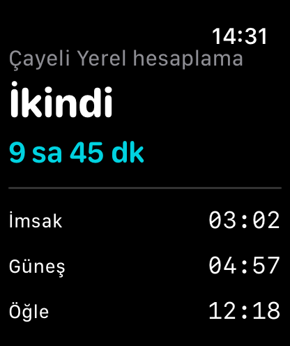 Local Calculation View Apple Watch screenshot